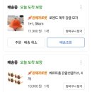 (주)제주리무진 | 2025년 3대 가족여행 7명 제주도 자유여행 준비 완료