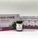 법인영춘 이미지