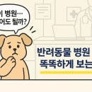 우리동물병원 | 🐶 반려동물 병원 후기, 정말 믿어도 될까요?