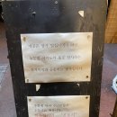 아키노키