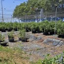 제항농장 이미지