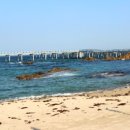 대게유래비(거일2리) 이미지