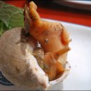 영일식당 이미지