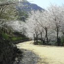 엄광산임도 이미지