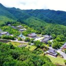 인산로 경북일보