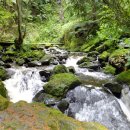 오늘은불고기 이미지