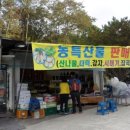 펀치볼민박 이미지