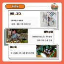 솜피아노 이미지