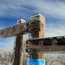 홍명목장 이미지