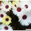 더수학교습소 이미지