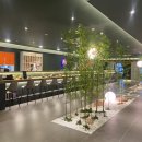 해궁참치 이미지