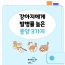 서울동물영상종양센터 네이버블로그