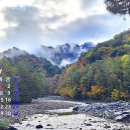 2026 Calendar...수렴동-구곡담계곡의 단풍 이미지