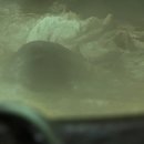 성환시장 이미지