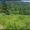 거문초동도분교장 이미지