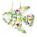 무지개 물고기 이미지