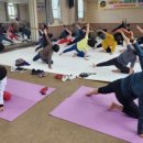 실버 요가 이미지