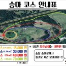 송당송당 이미지