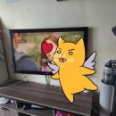 신일전업사 - 전주시 완산구 장승배기로 241 | 신일전업사