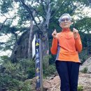 2026.08.04. 삼복더위 폭염 피서지 도봉산 신선대코스 산행! 이미지