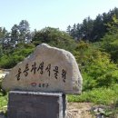 울릉자생식물원 내외통신