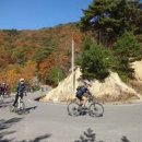 영주 자전거공원 이미지