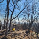 진틀주차장 이미지