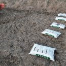 미정농장 이미지