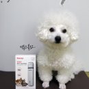핑크바리깡 이미지