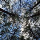 거북경로당 이미지