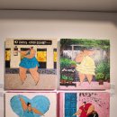 꼴라보하우스도산 이미지