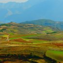 문명의 기원 이미지