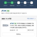 음지지 | 11月:어떤 기억은 영원히 지워지지 않을 깊은 훼손을 남긴다.