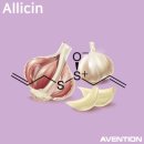 센트럴짐 이미지