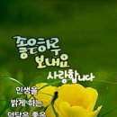 몽마르지 이미지