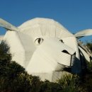 고양이 유치원 이미지