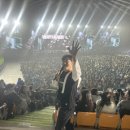 핑크타이거 이미지