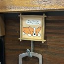 송일초등학교 | 송탄 삼겹살 제주돼지 오겹살 후기 연말 회식하기 좋은 제주옥돈가