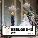 25.03.03 [강남] 귀여운 사촌 동생의 화려한 결혼식 후기 : 엘리에나호텔 예식장