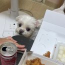 치킨리스트27 주안점 이미지