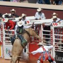 세계의 축제 · 기념일 백과 - 캘거리 스탬피드[ Calgary Stampede ] 이미지