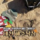 대천(서울) | 연휴에 가볼만한 바다 여행지 : 대천 해수욕장 서울 뚜벅이가 2년동안 가본 후기!