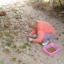 키위약국 이미지