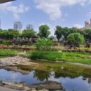 어버이날 기념행사’실버페스티벌’ 이미지