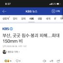 초량밀면 이미지