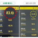 플러스튼튼팜