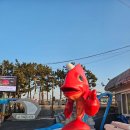 마량 여객터미널 이미지