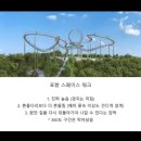 환상의 나라 에버랜드로~✨ 가는 신나는 한 주 일상 (에버랜드 날씨, 티익스프레스, 장미축제…)