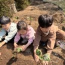 자연아이숲유치원 이미지