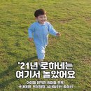 올해 로하네 뭐하고 놀았나? 아이랑 갈만한 곳 총 정리